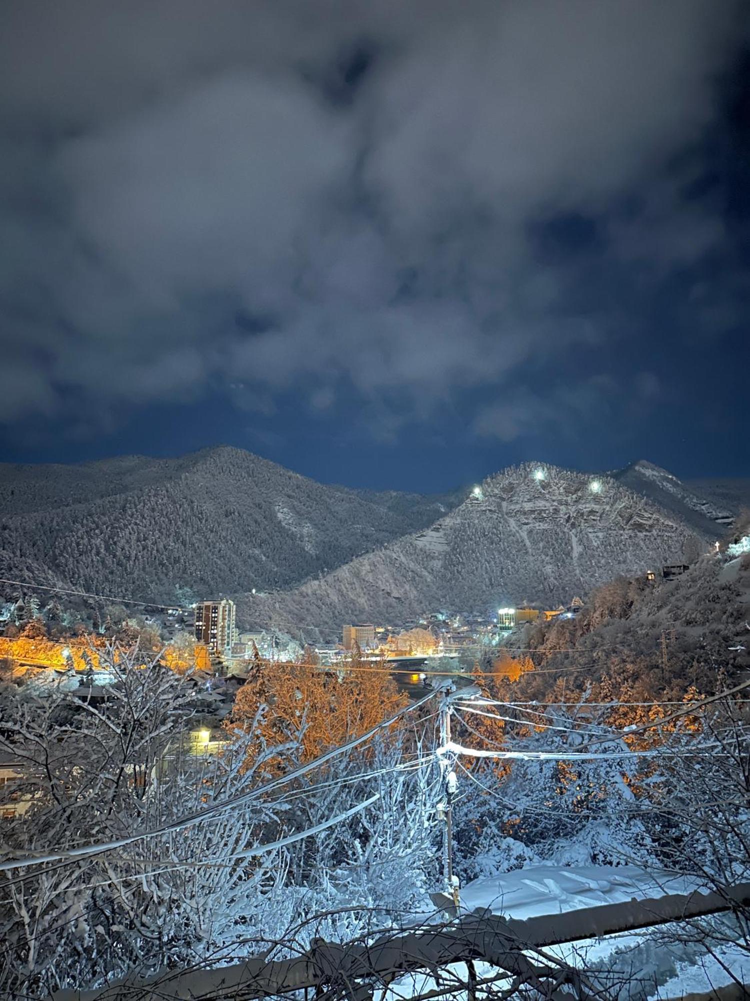 Woodland Borjomi Otel Dış mekan fotoğraf